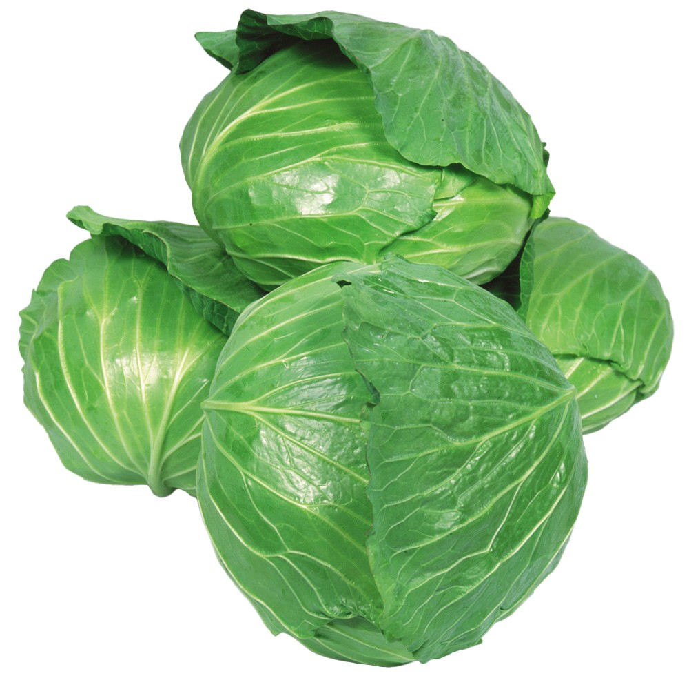 種 野菜たね キャベツ F1味イチバン 1袋(3ml)