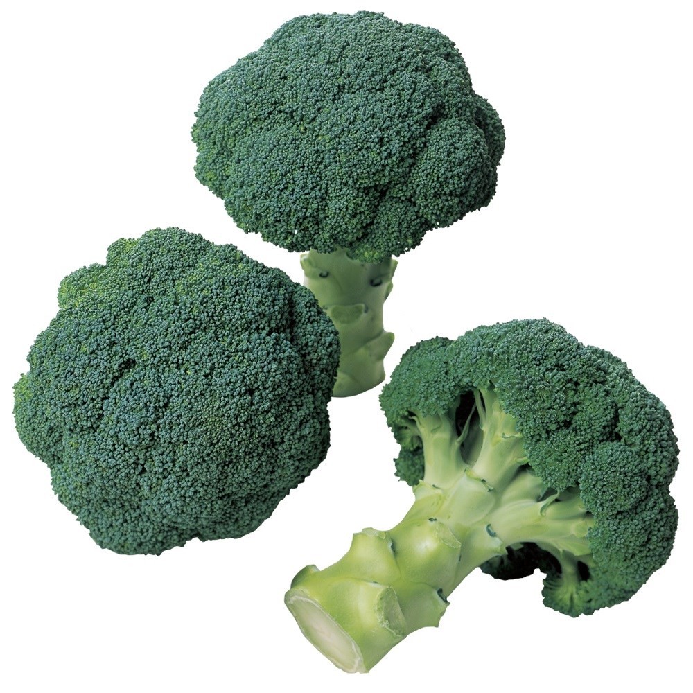 種 野菜たね ブロッコリー F1サマードーム 1袋(80粒)