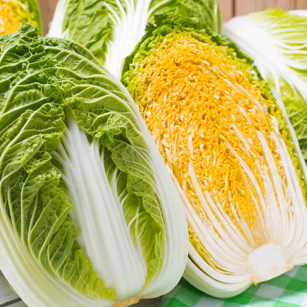 種 野菜たね ハクサイ F1オレンジクイン 1袋(コート種子100粒)