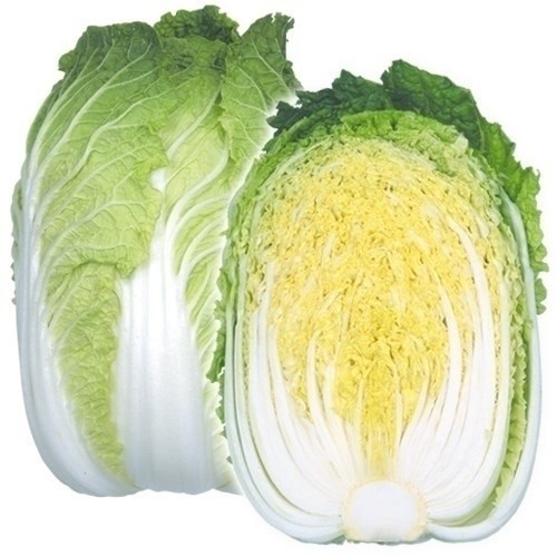 種 野菜たね ハクサイ F1春っ娘 1袋(3ml)