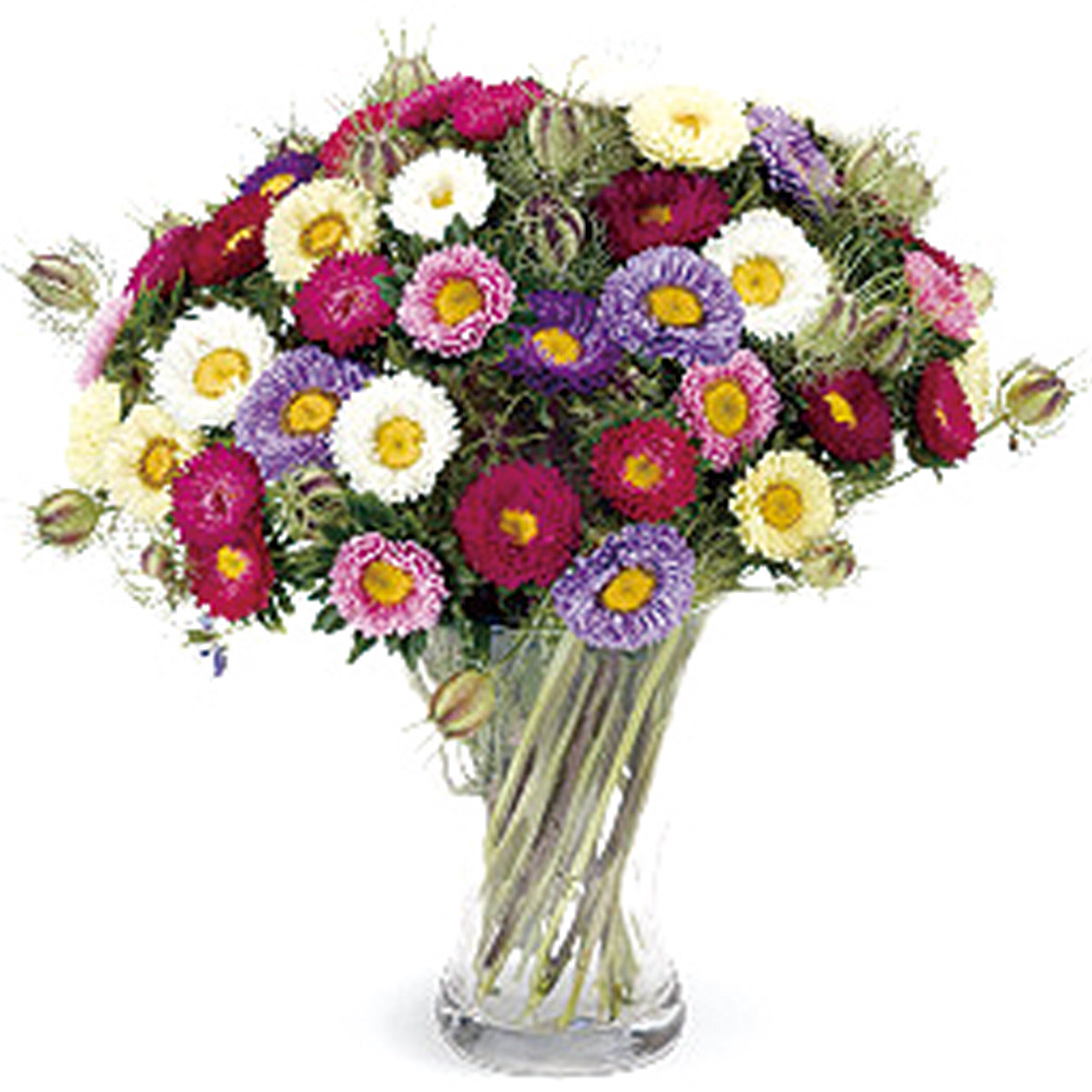 種 花たね アスター ファンミックス 1袋(30粒)