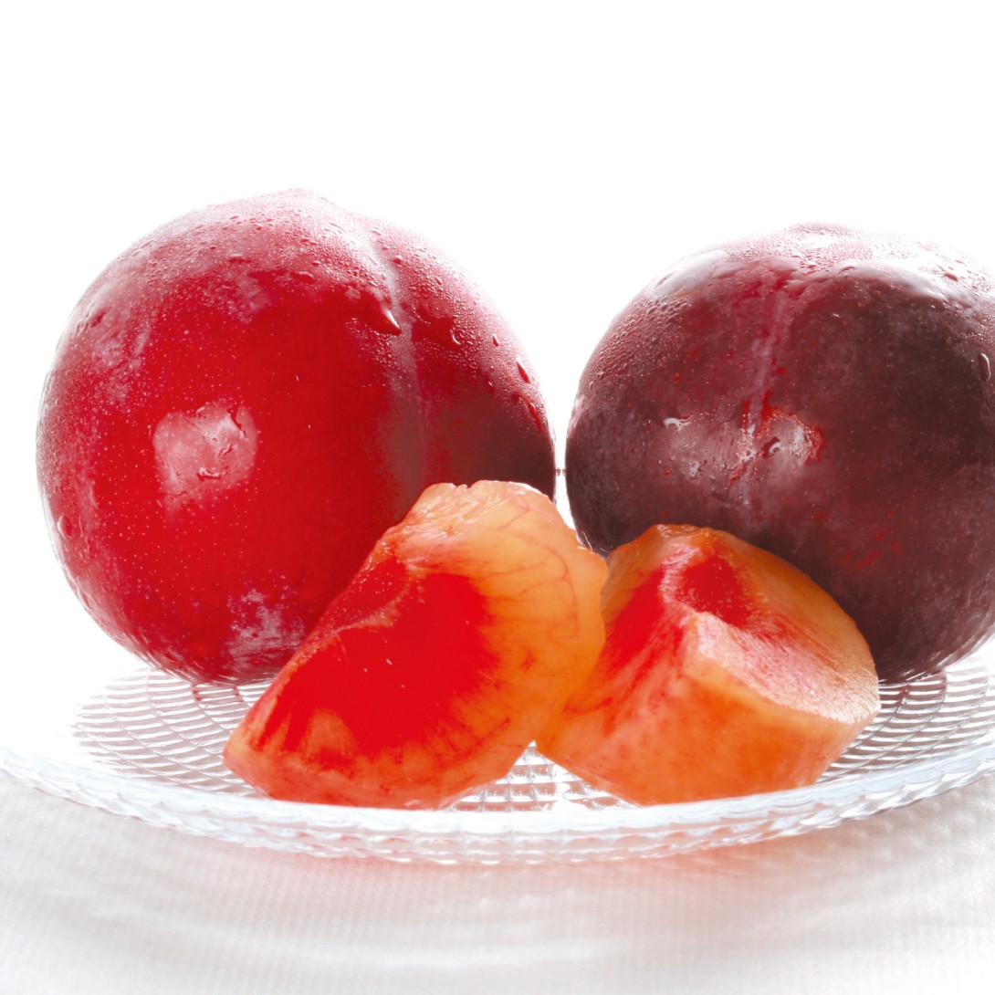 果樹苗 スモモ サンローゼス＆ハリウッド(受粉樹) 2種2株