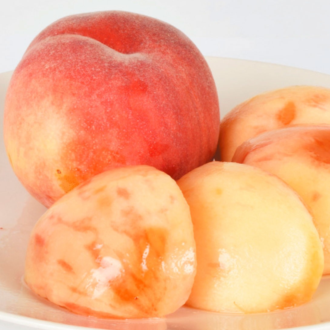 果樹苗 モモ なつおとめPVP 1株