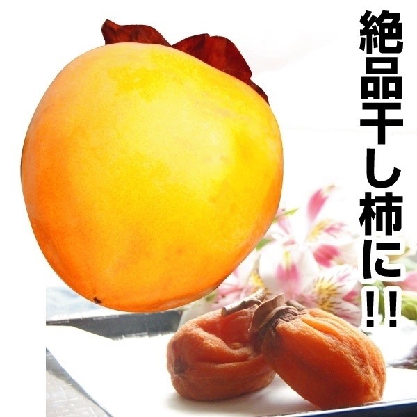 果樹苗 カキ 渋柿 川端 1株