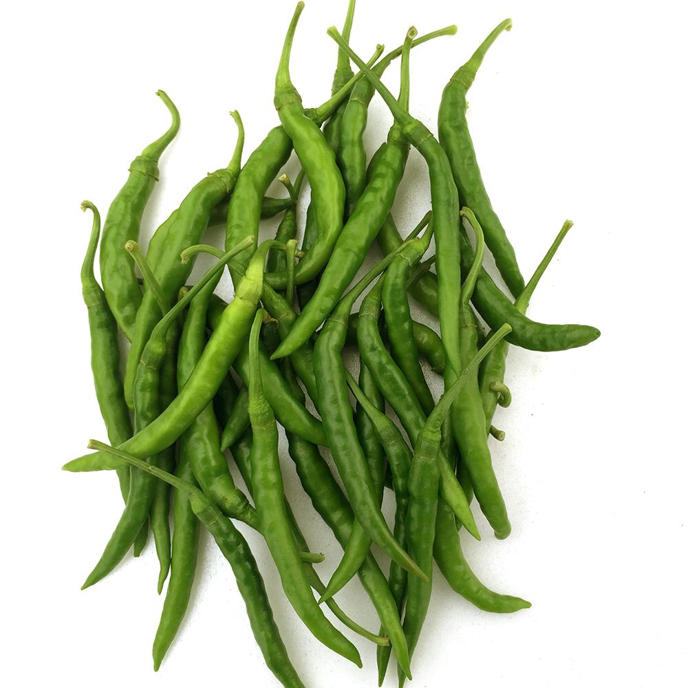 世界の激辛唐辛子苗 プリッキーヌ