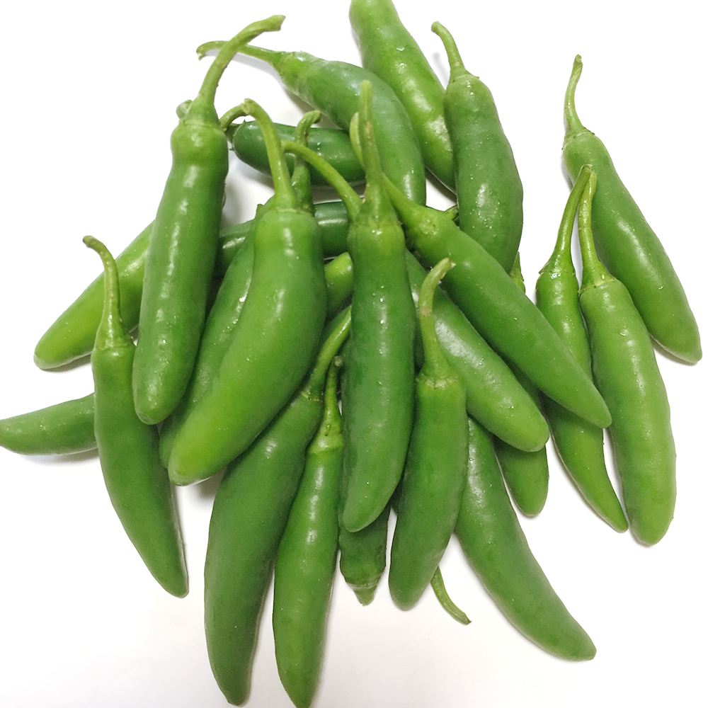 世界の激辛唐辛子苗 セラーノ