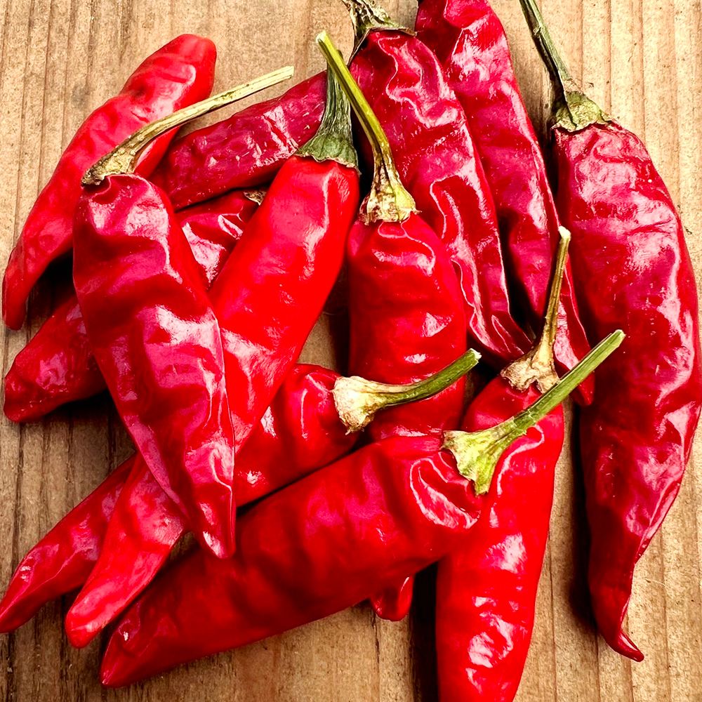 世界の激辛唐辛子苗 チャベブロング