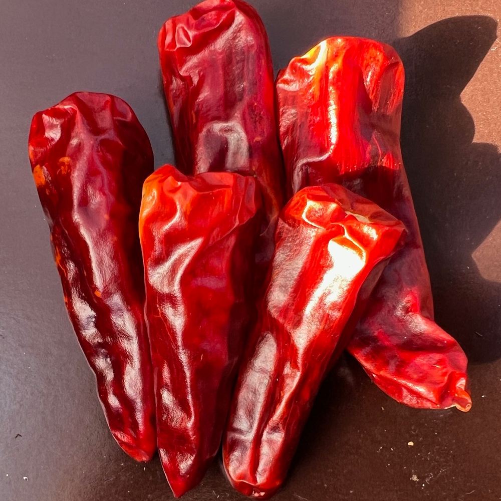 世界の激辛唐辛子苗 シャエマ