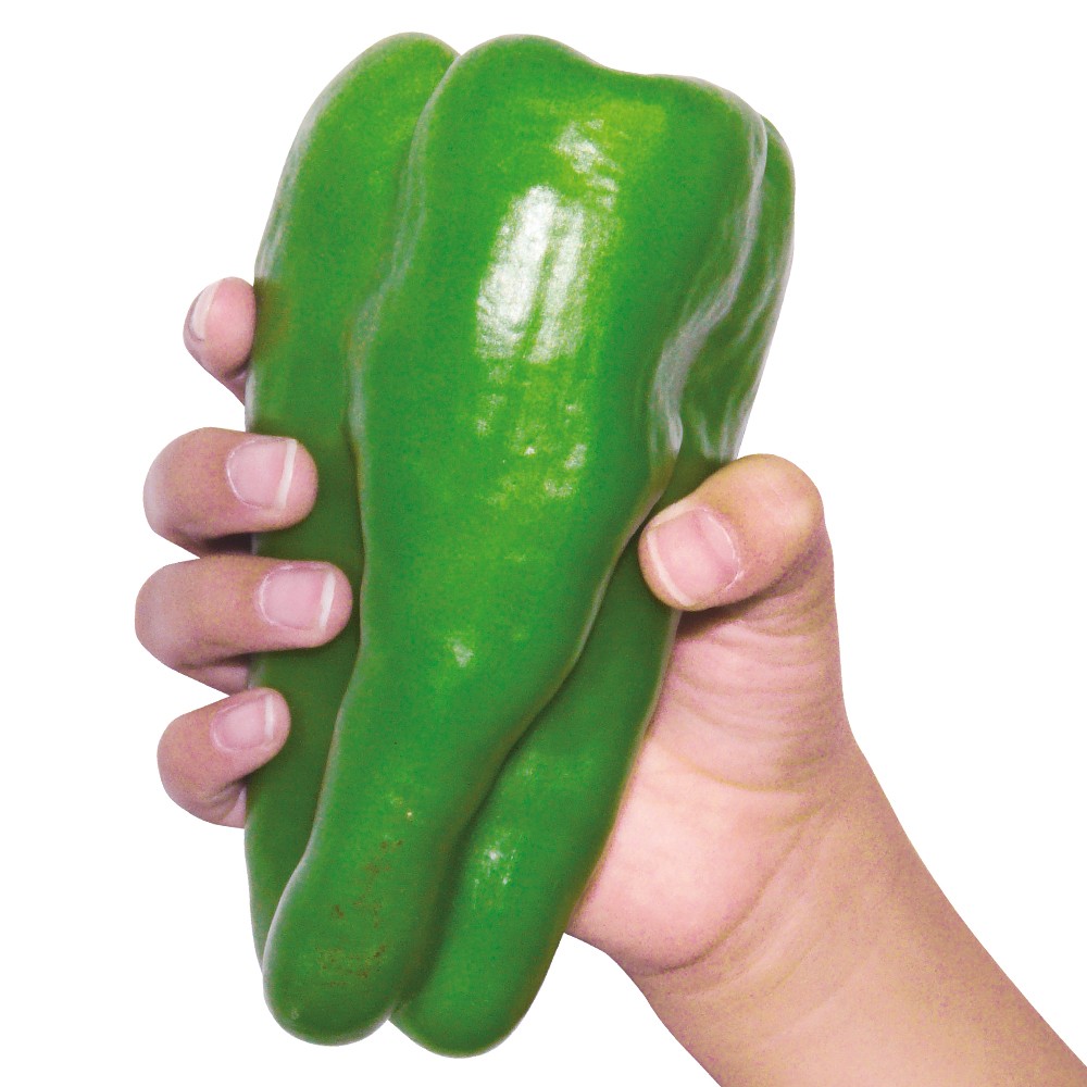 接木野菜苗（ケース販売）ピーマン 接木F1スイートロング 40株 送料込み