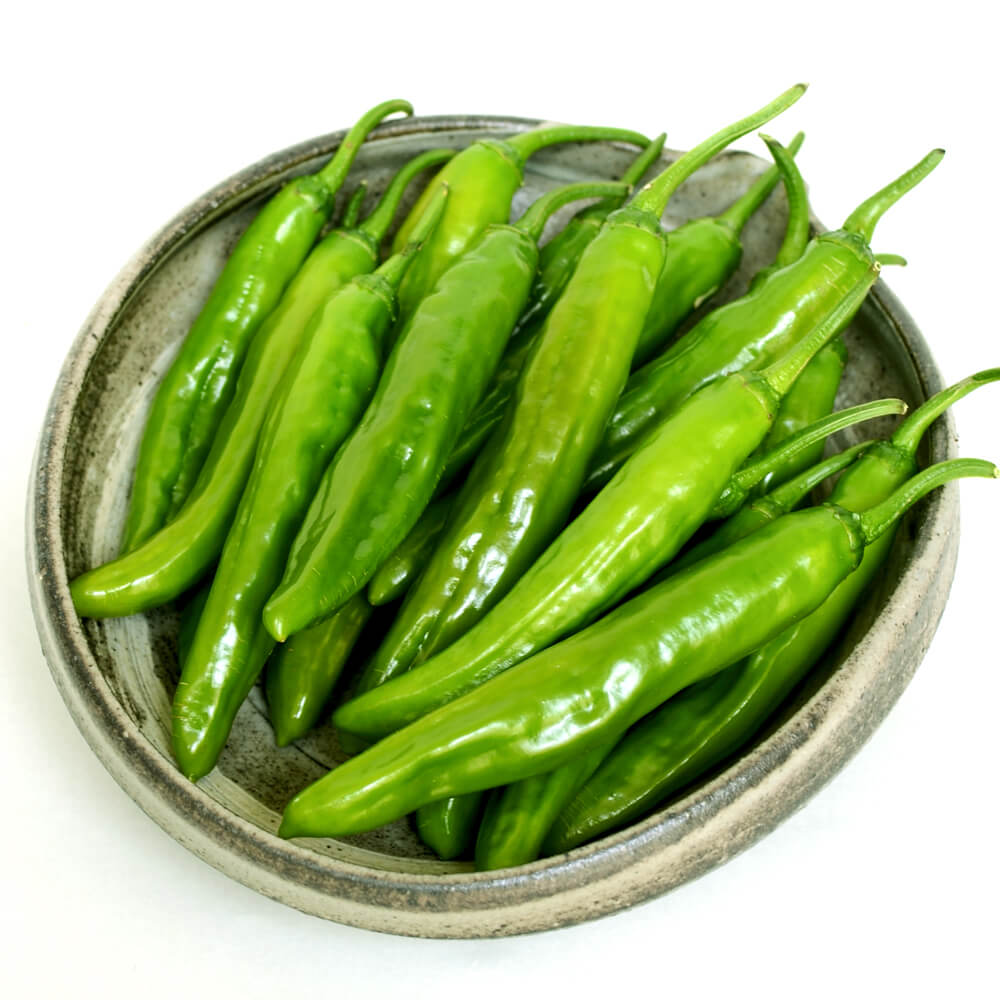 接木野菜苗（ケース販売）甘トウガラシ 接木F1サクッとあまなが 40株 送料込み