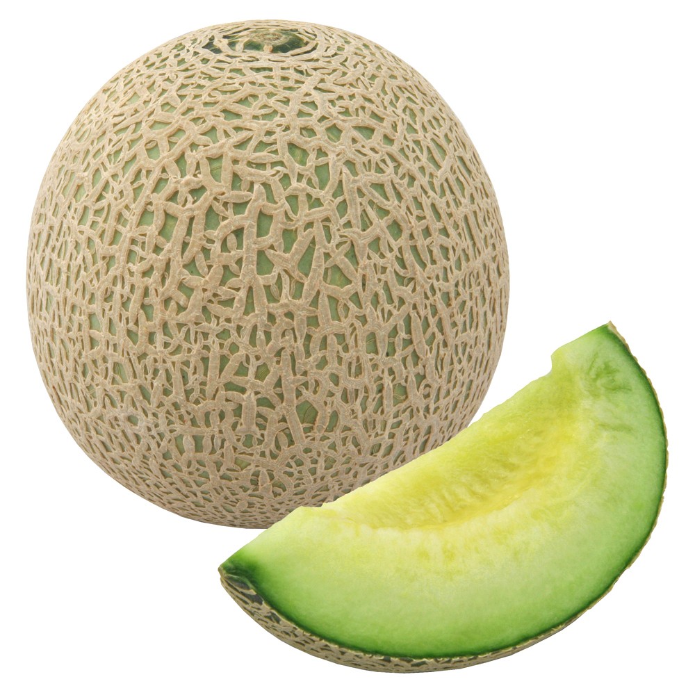 接木野菜苗 メロン 接木F1バルコニーズ