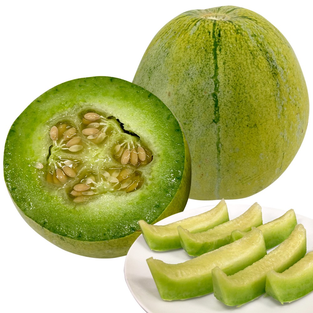 接木野菜苗 メロン 接木F1アップリー