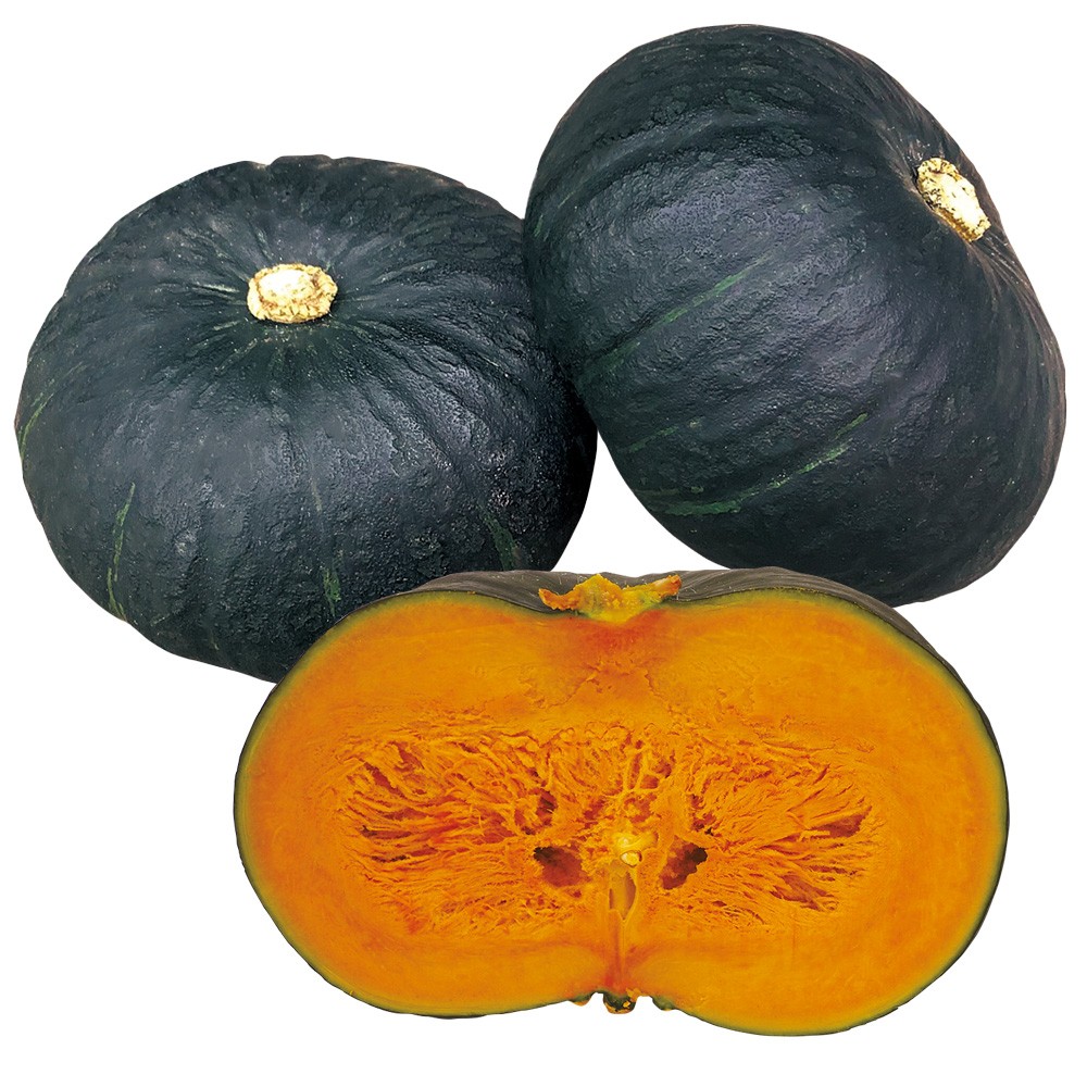 実生野菜苗 カボチャ F1神の杜