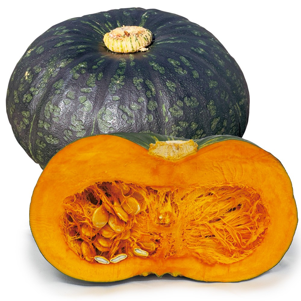 実生野菜苗 カボチャ F1グランモンブラン