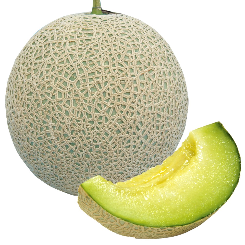 実生野菜苗 メロン F1フェリーチェ