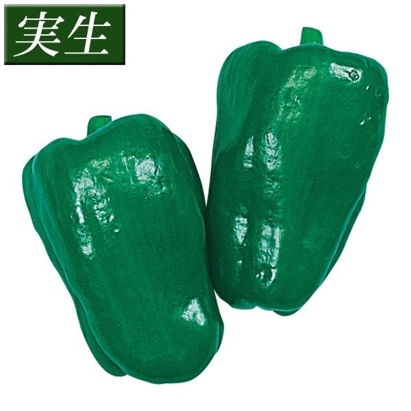 実生野菜苗 ピーマン F1エース
