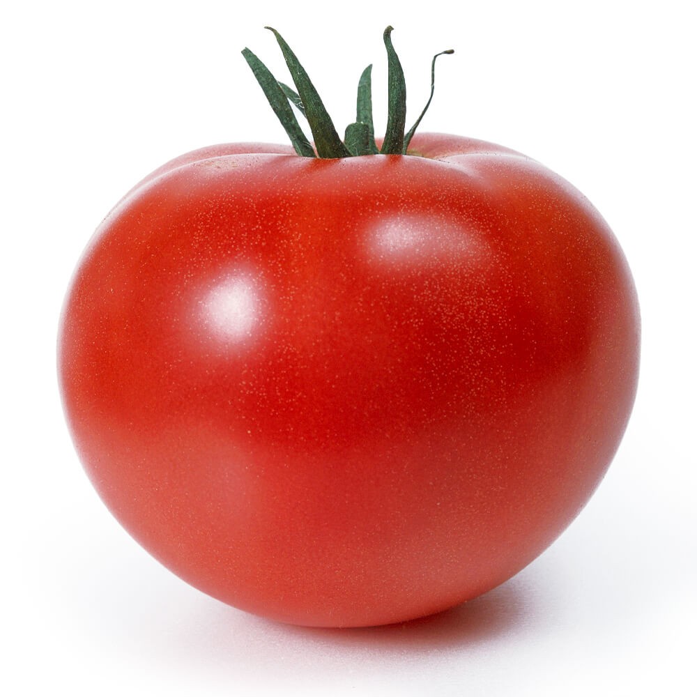 実生野菜苗 大玉トマト F1ホーム桃太郎Ｒ