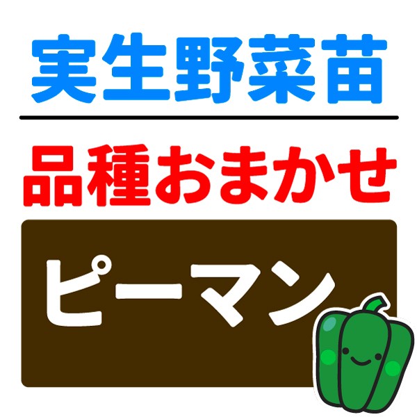 実生野菜苗 品種おまかせ実生ピーマン 2株
