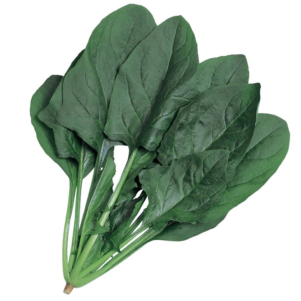 種 野菜たね ホウレンソウ F1春まきこくうまほうれん草 1袋(40ml)