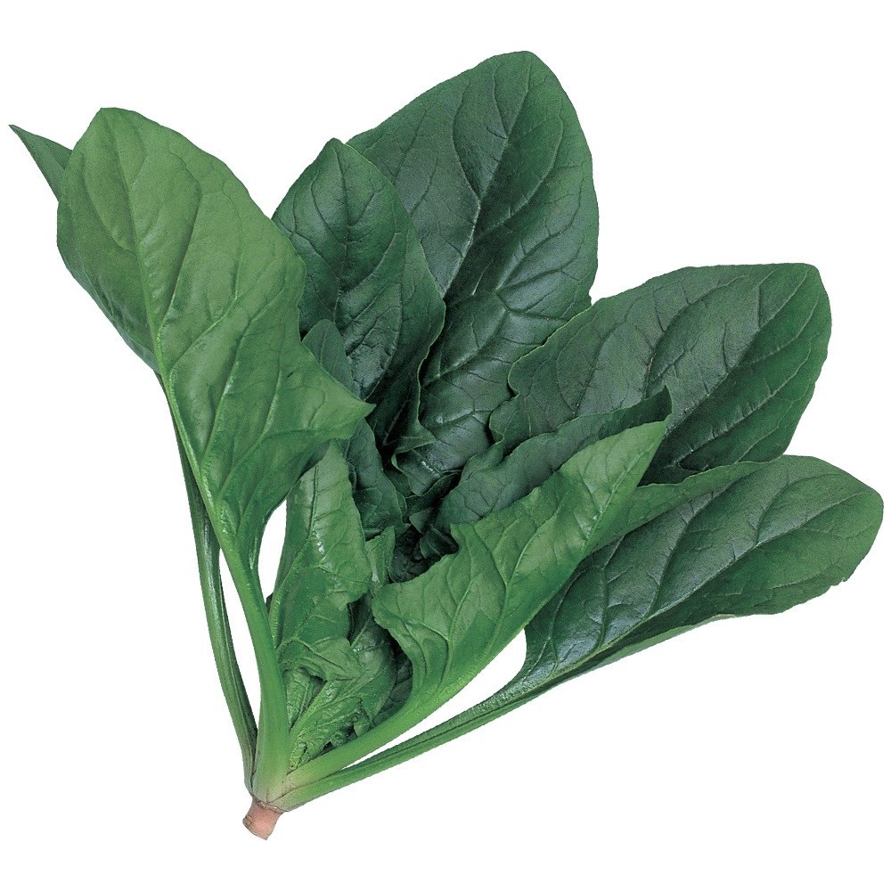 種 野菜たね ホウレンソウ F1グリーンスワロー 1袋(30ml)