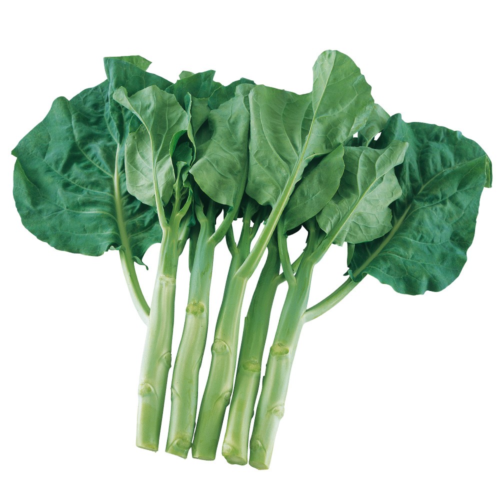 種 野菜たね カイラン F1宝みどり 1袋(4ml)