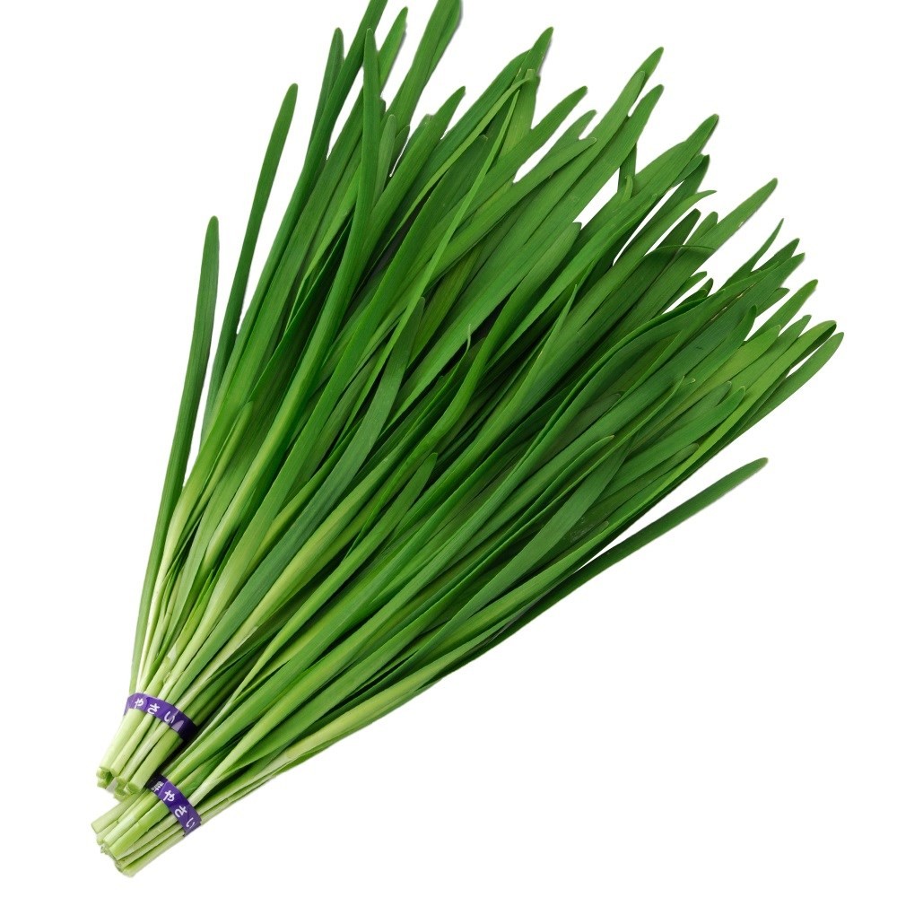 種 野菜たね 菜類 タフボーイ 1袋(5ml)