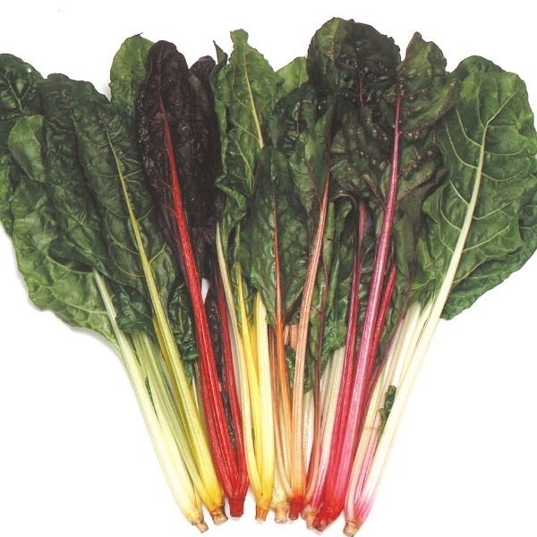 種 野菜たね 菜類 スイスチャードMIX 1袋(3ml)