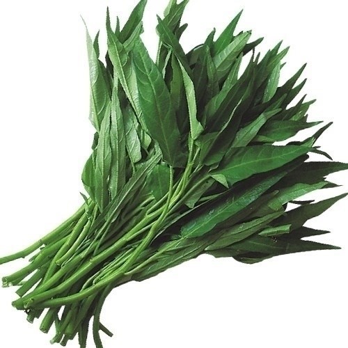 種 野菜たね 菜類 つるなしエンサイ 1袋(10ml)