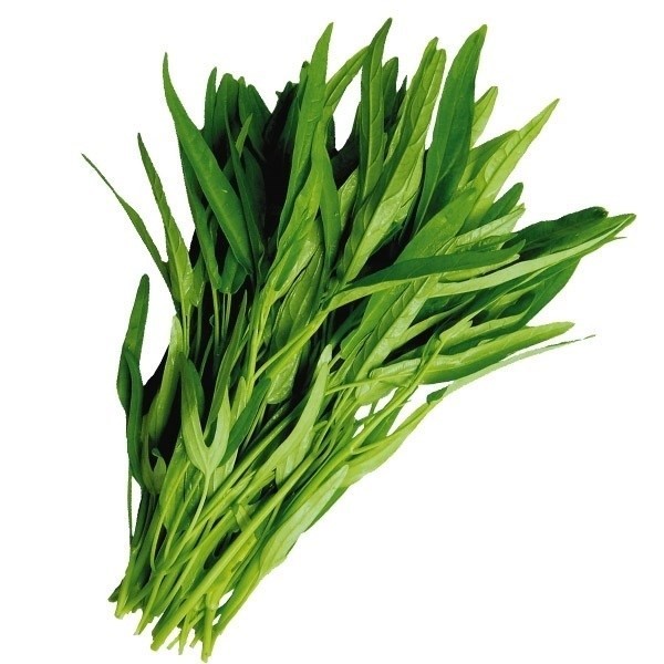 種 野菜たね 菜類 エンサイ なつサラダ 1袋(100粒)