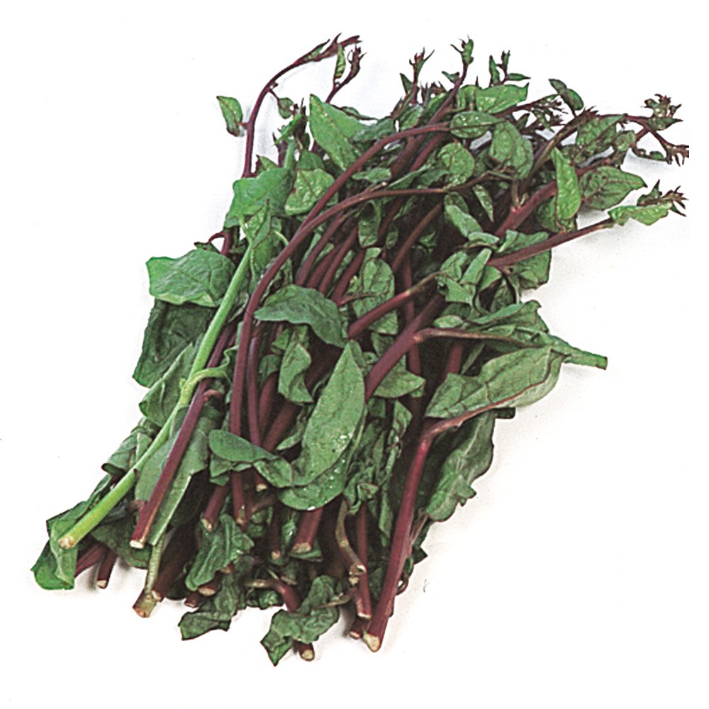 種 野菜たね 菜類 ツルムラサキ 紫茎 1袋(4ml)