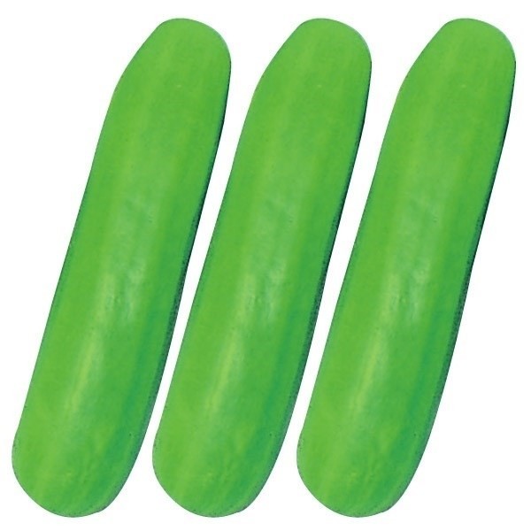 種 野菜たね ウリ 阿波みどり 1袋(4ml)