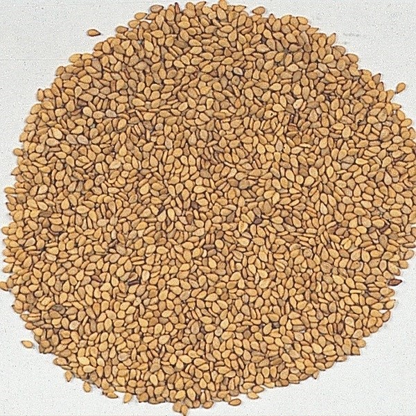 種 野菜たね 健康野菜 金胡麻 1袋(10ml)