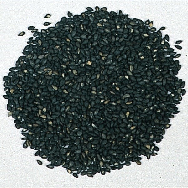 種 野菜たね 健康野菜 黒胡麻 1袋(10ml)