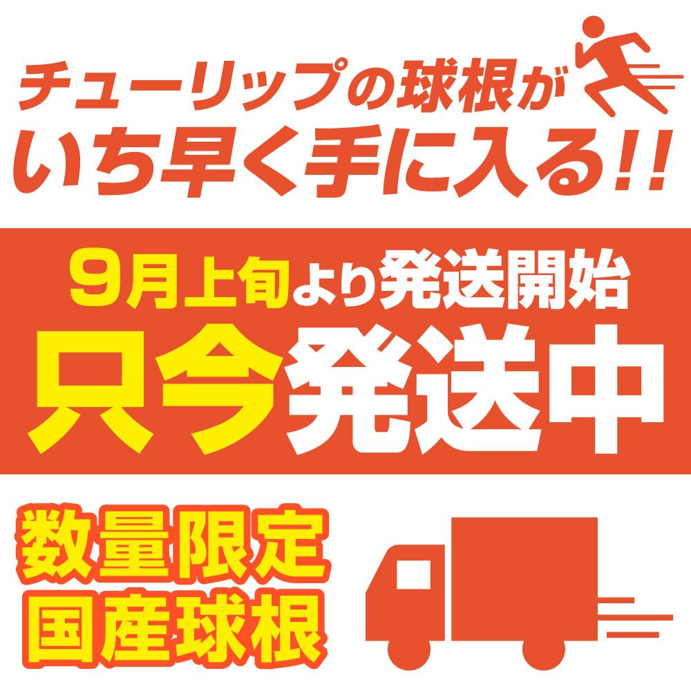 只今発送中