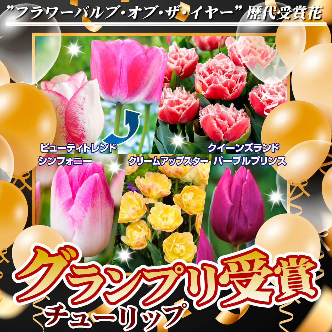 バルブオブザイヤーTOP