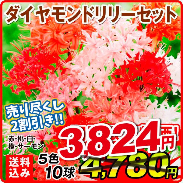 ダイヤモンドリリー