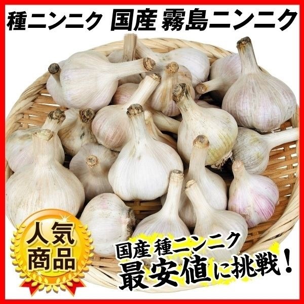 ニンニク 種球 霧島ニンニク（種球 ・国産）