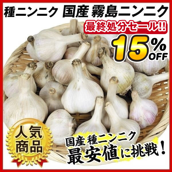 ニンニク 種球 霧島ニンニク（種球 ・国産）在庫処分セール