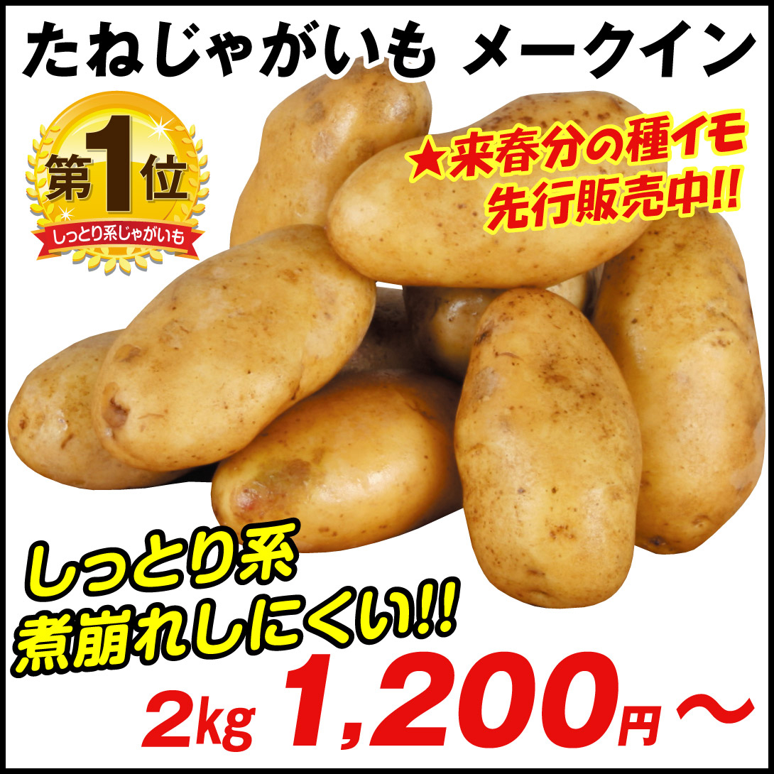 じゃがいも種芋 メークイン /26年春先行販売