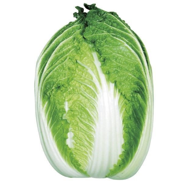種 野菜たね ハクサイ F1パワー白菜 1袋（3ml）