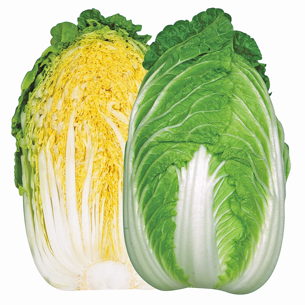 種 野菜たね ハクサイ F1あきどりこがね 1袋（2ml）