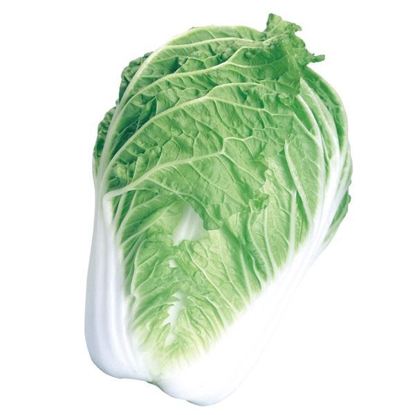 種 野菜たね ハクサイ F1早どり白菜 1袋（2ml）