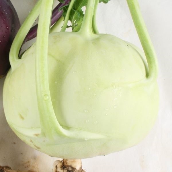種 野菜たね キャベツ コールラビー甘藍 1袋（2ml）