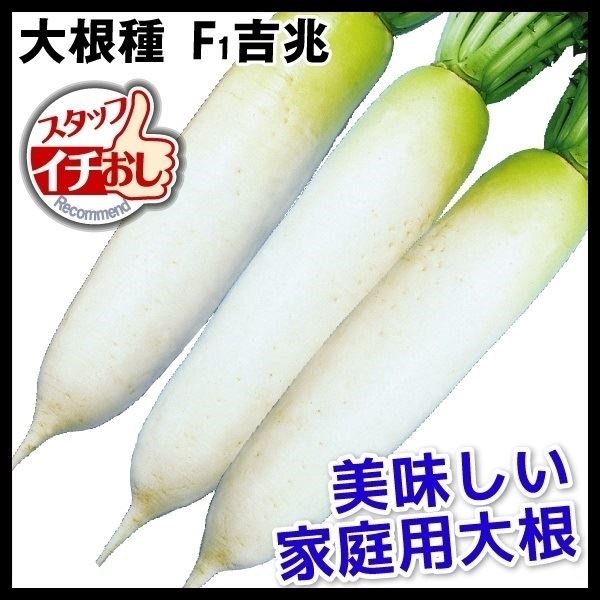 種 野菜たね ダイコン F1吉兆 1袋（3ml）