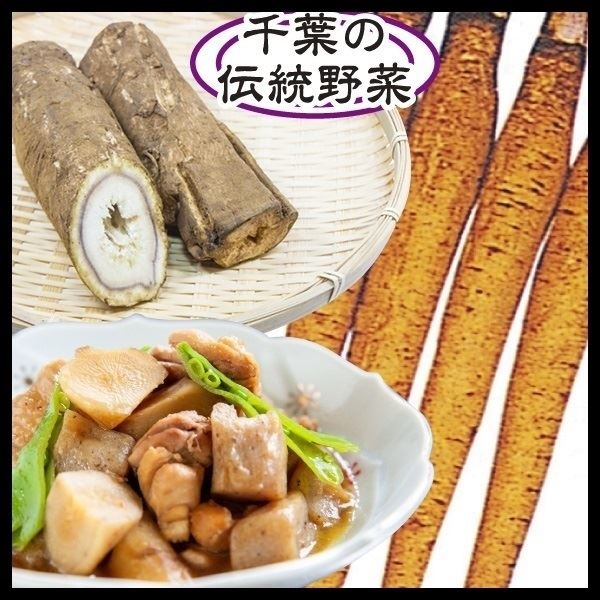 種 野菜たね ゴボウ 大浦太ごぼう 1袋（10ml）