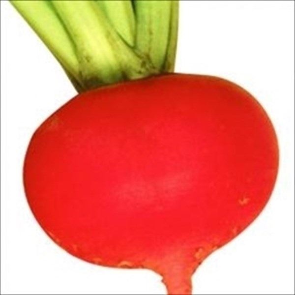 種 野菜たね カブ F1紅かぶ 1袋（2ml）