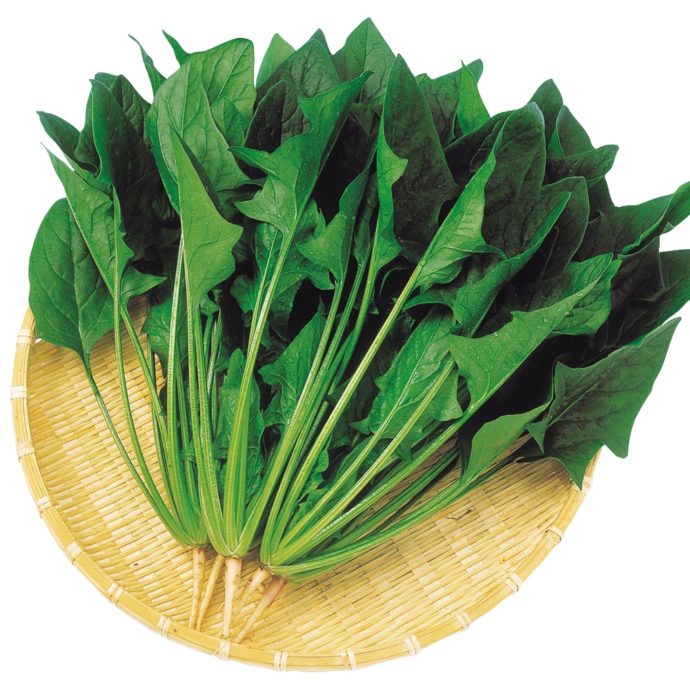 種 野菜たね ホウレン草 F1優秀秋冬ほうれん草 1袋（30ml）