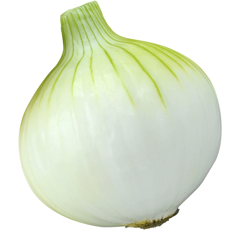 種 野菜たね タマネギ F1極早生甘あま玉葱 1袋（3ml）