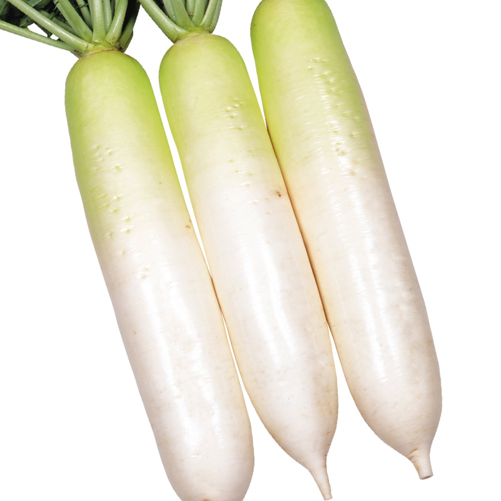 種 野菜たね ダイコン F1あじ美人 1袋（8ml）