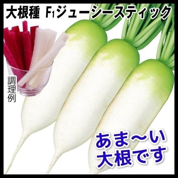 種 野菜たね ダイコン F1ジューシースティック 1袋（4ml）